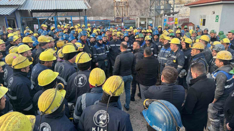 Çayrhan Termik Santrali'nin özelletirilmesi onayland